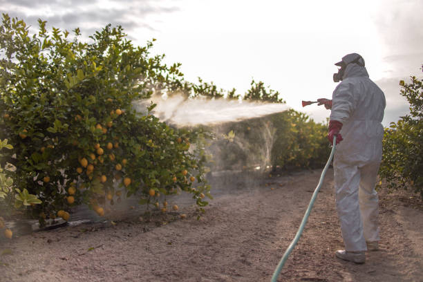 Trusted Malta, MT Pest Control Experts